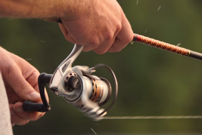 8 Best Beginner Fishing Rods [2023] Top Rod and Reel Combos