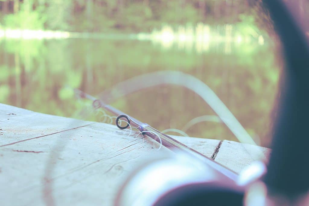 best fishing line for spinning reels