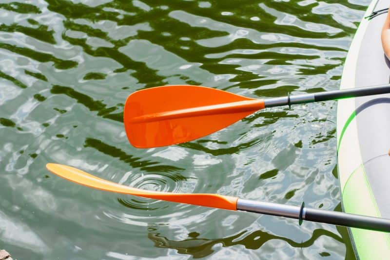 5 Best Kayak Paddles for the Money 2022 Top Budget Models